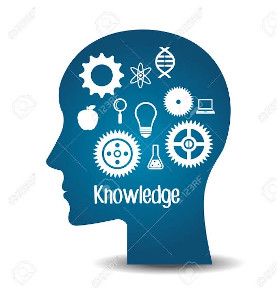 f:id:d-study-brave:20200505085523j:image