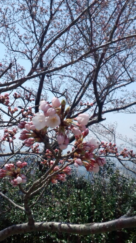 f:id:d-u-b:20120412113420j:image f:id:d-u-b:20120412113420j:image