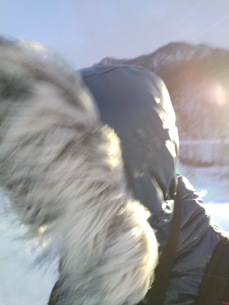 f:id:d0nchan:20180210010855j:plain:w300