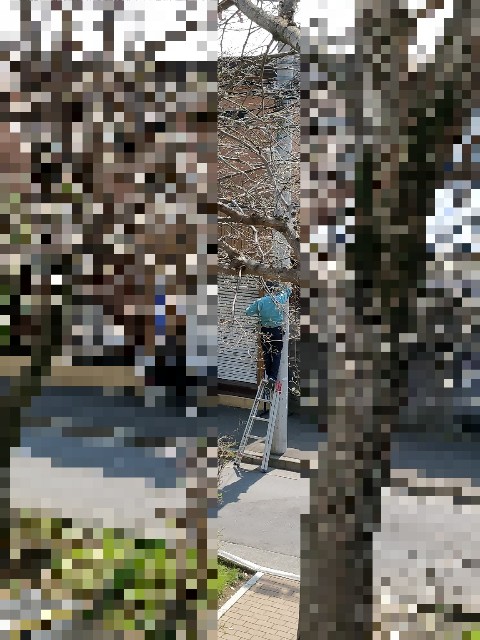 f:id:d0nchan:20180328111109j:plain:w400 f:id:d0nchan:20180328111109j:plain:w400
