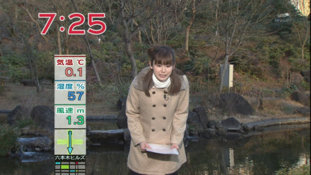 f:id:d1021:20100204094458j:image