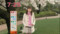 20100406085338