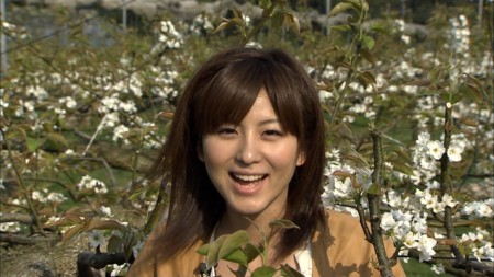 f:id:d1021:20100421231548j:image