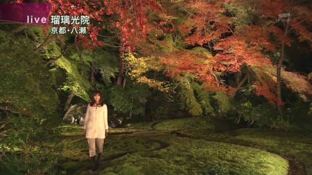 f:id:d1021:20101120162752j:image