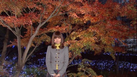 f:id:d1021:20101130122052j:image