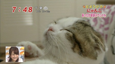 f:id:d1021:20110113090420j:image