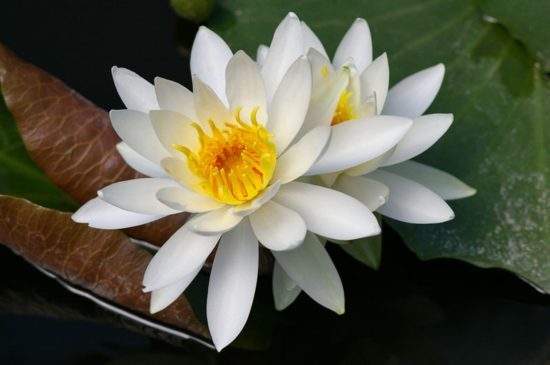 f:id:d127:20120617072435j:image
