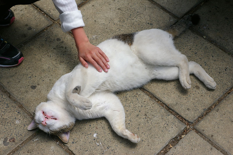 f:id:d127:20120617072436j:image