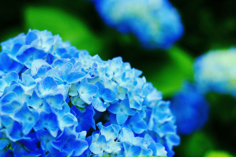 f:id:d127:20120629221852j:image