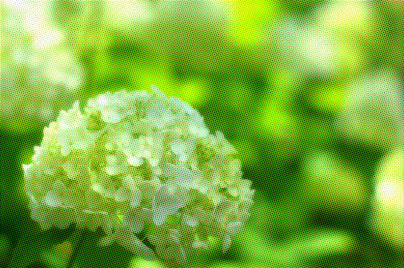 f:id:d127:20120629221853j:image