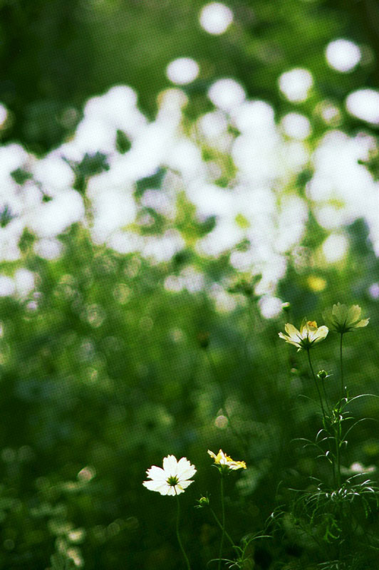f:id:d127:20121209213407j:image