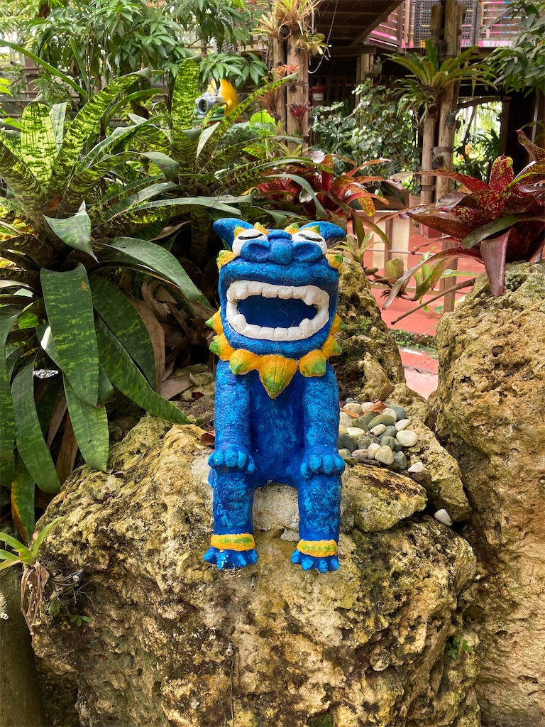 f:id:d261104:20210905215325j:image f:id:d261104:20210905215325j:image