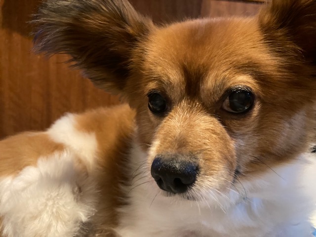 f:id:d261104:20210915140239j:plain