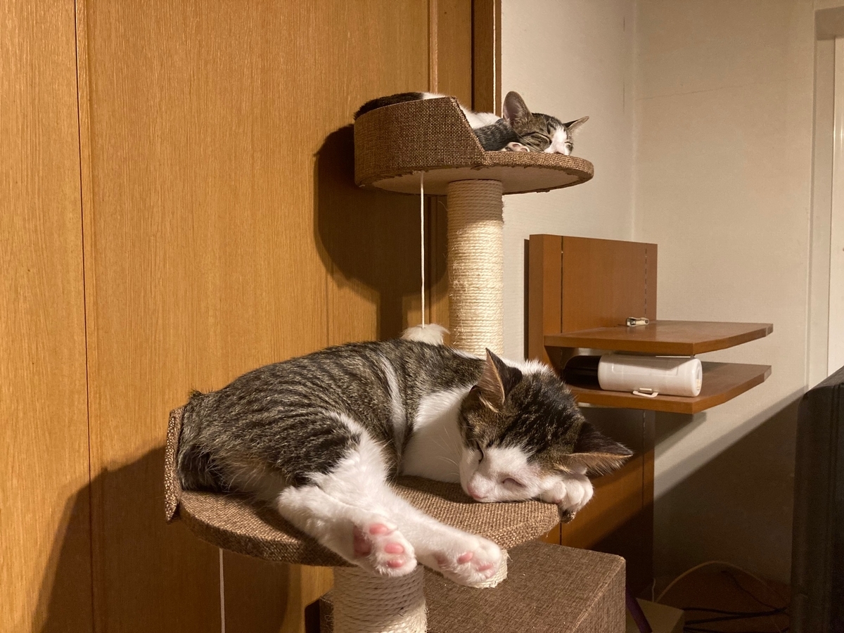 f:id:d261104:20210921232040j:plain