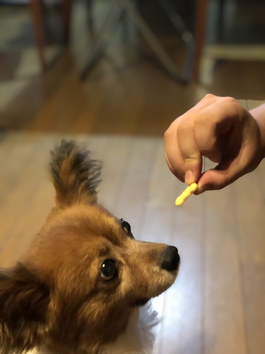 f:id:d261104:20210921232308j:plain