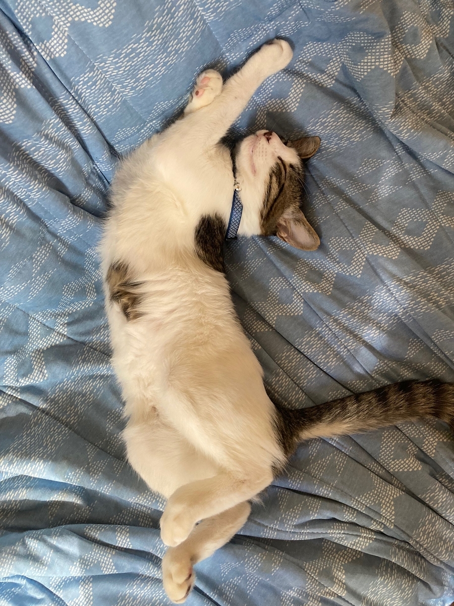 f:id:d261104:20210923171635j:plain