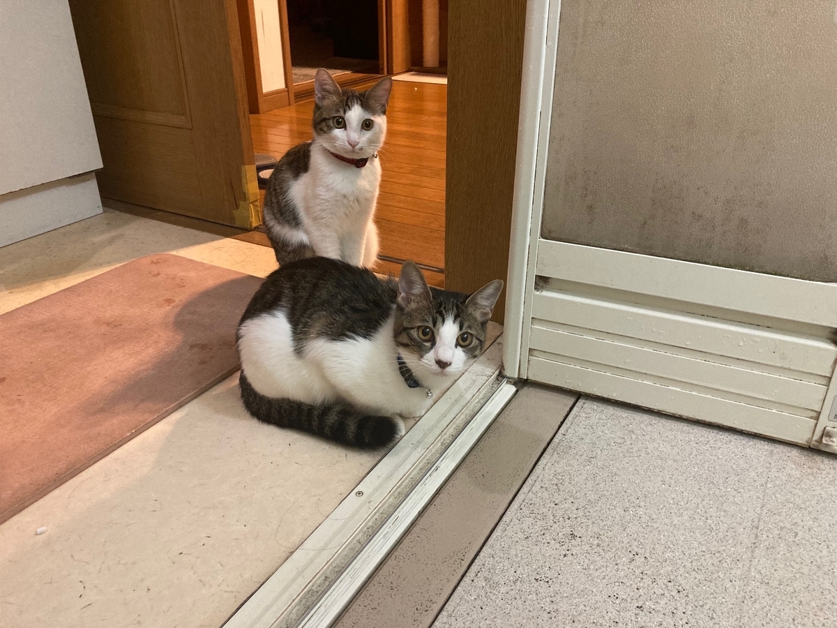 f:id:d261104:20211003233028j:plain