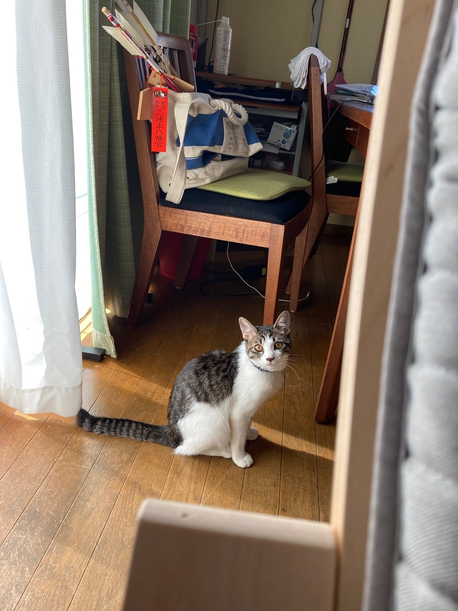 f:id:d261104:20211009214616j:plain