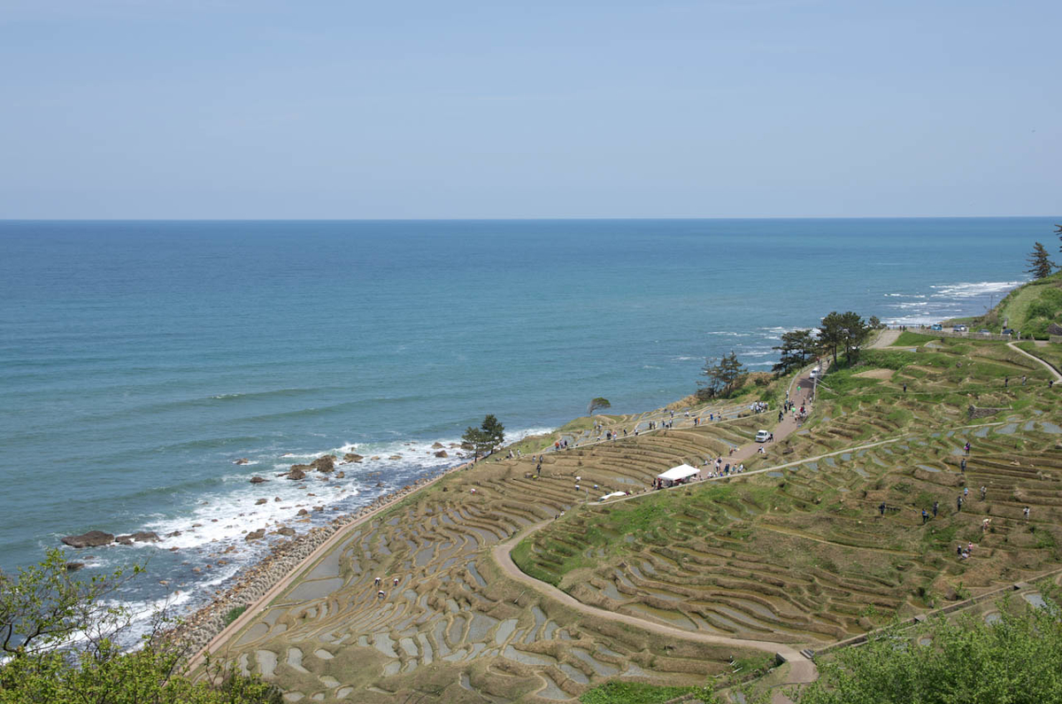 f:id:d55:20120513110931j:plain