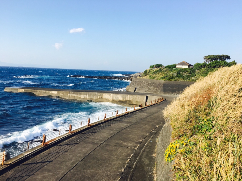 伊豆大島マラソン走ってきたから予約方法・練習方法をまとめる【フルマラソンの走り方まとめ】