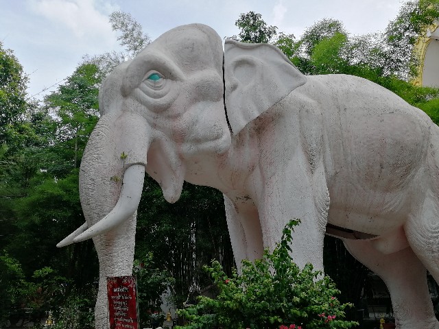 f:id:dTrip:20190925113936j:image