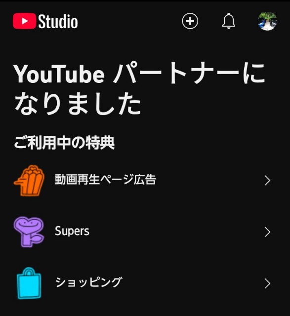 f:id:d_n113:20250523195122j:image