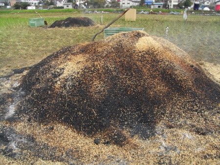 20081115123355