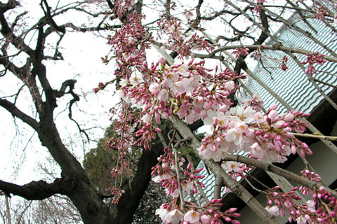 20100328120926