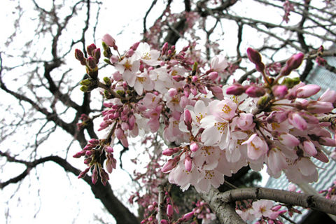 20100328120938