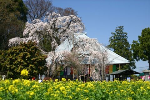 20120408124106