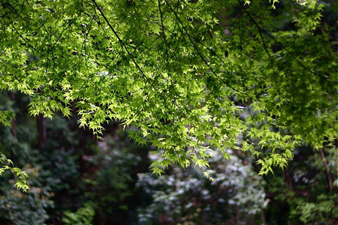 20120504104349