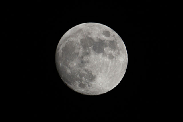 f:id:d_wackys:20131116185249j:image