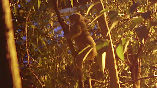 f:id:d_wackys:20170830154709j:plain f:id:d_wackys:20170830154709j:plain