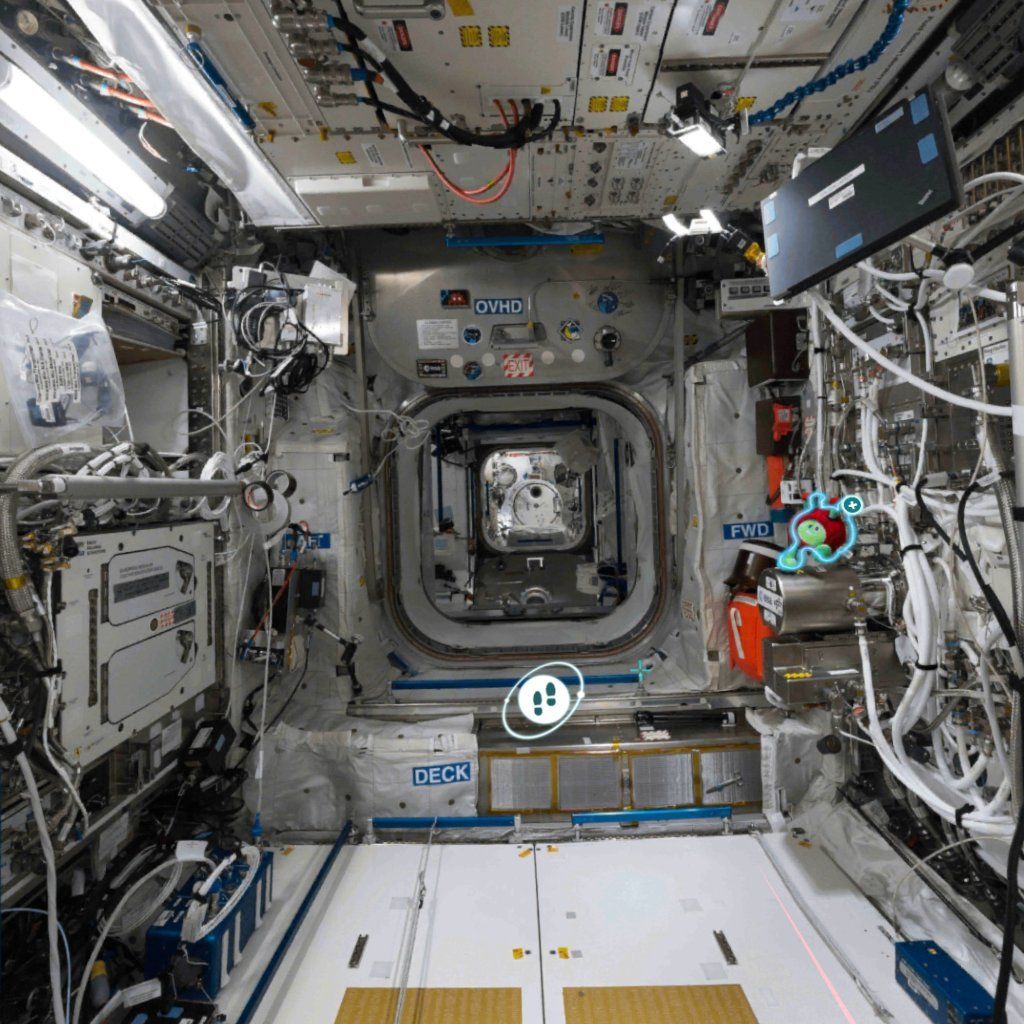 f:id:d_wackys:20180710123015j:plain f:id:d_wackys:20180710123015j:plain