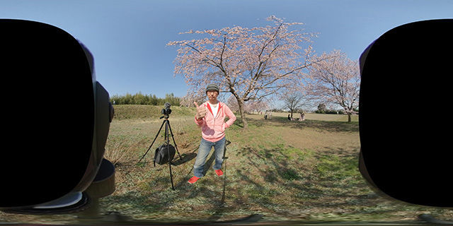 f:id:d_wackys:20190320054022j:plain