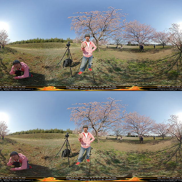 f:id:d_wackys:20190320054027j:plain