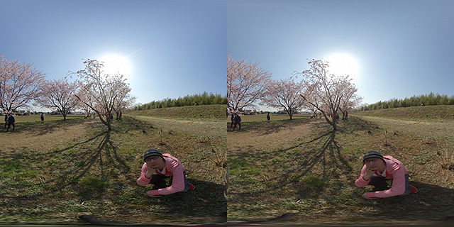 f:id:d_wackys:20190320054057j:plain