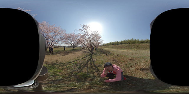 f:id:d_wackys:20190320054058j:plain
