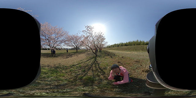 f:id:d_wackys:20190320054059j:plain