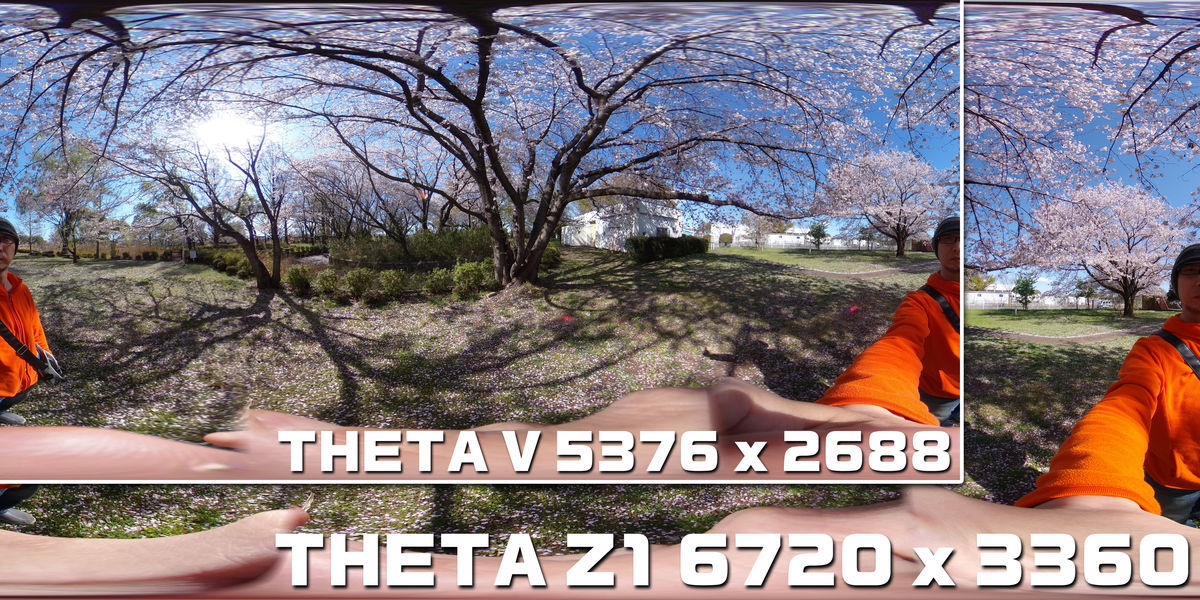 f:id:d_wackys:20190409143743j:plain:w480