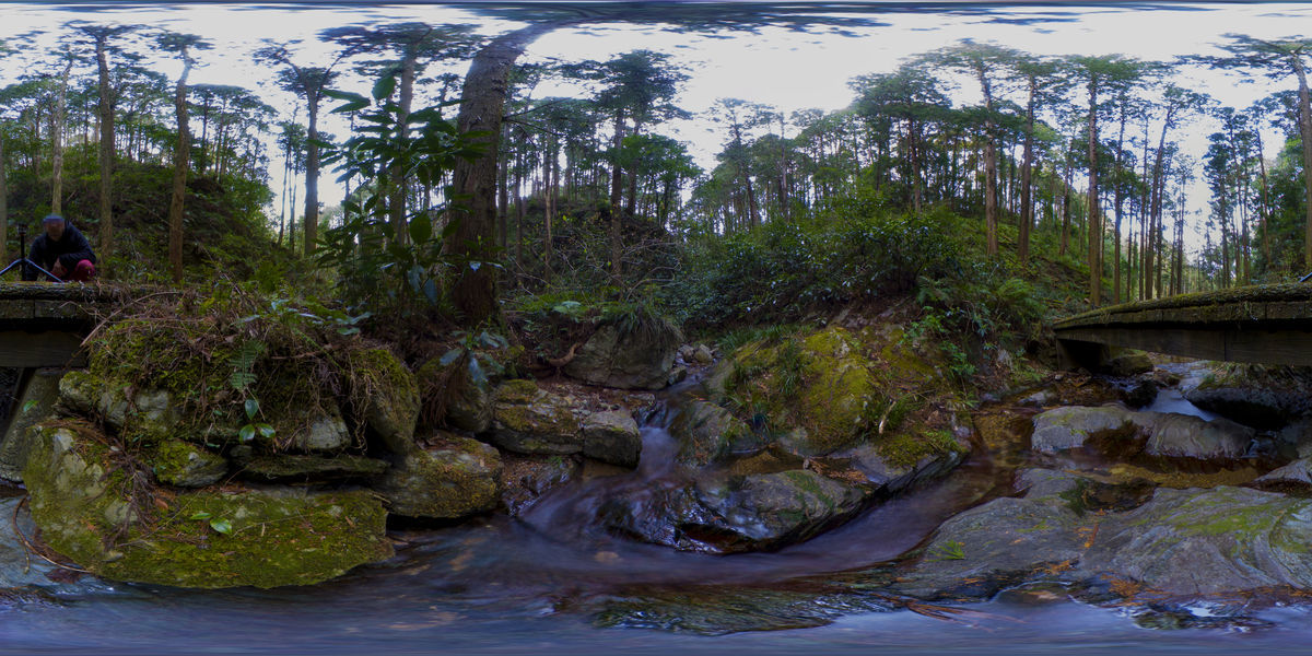 f:id:d_wackys:20190411172310j:plain