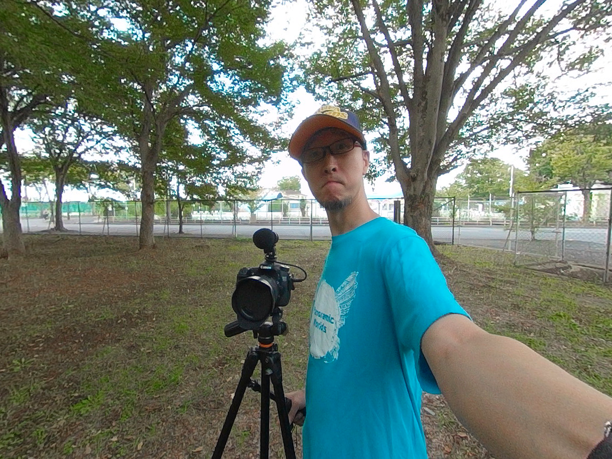 f:id:d_wackys:20190418181408p:plain