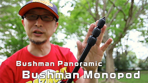 f:id:d_wackys:20190424184405j:plain