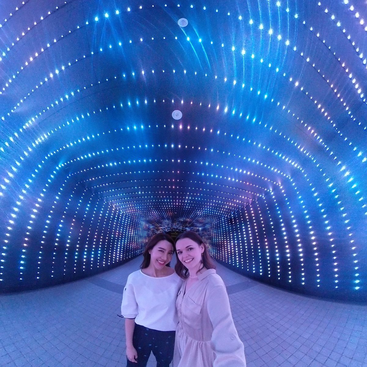 f:id:d_wackys:20191119012238j:plain