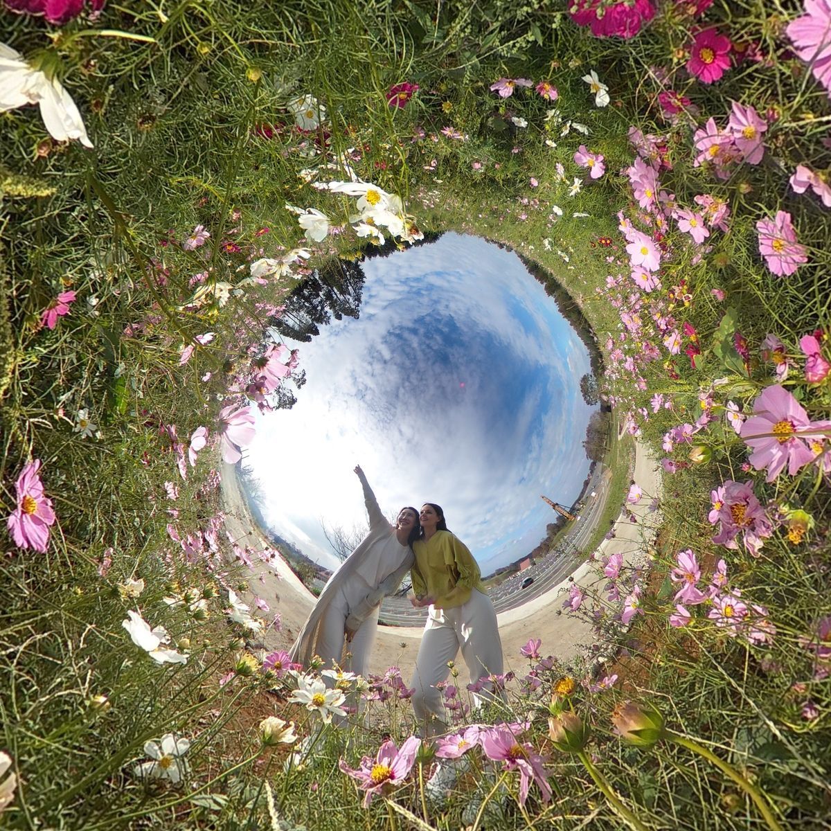 f:id:d_wackys:20191119012244j:plain