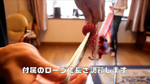 f:id:d_wackys:20201012222239j:plain