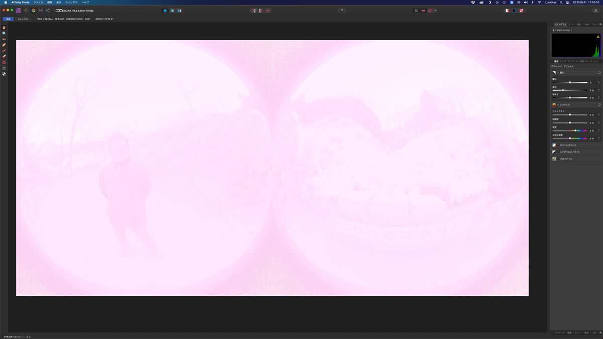 f:id:d_wackys:20210225144142j:plain