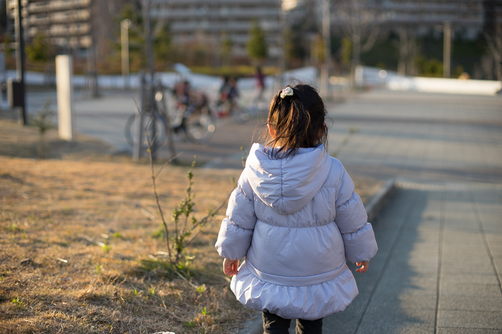 f:id:d_ymkw:20160110033104j:plain f:id:d_ymkw:20160110033104j:plain