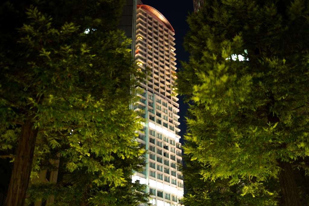 f:id:d_ymkw:20160211033618j:plain