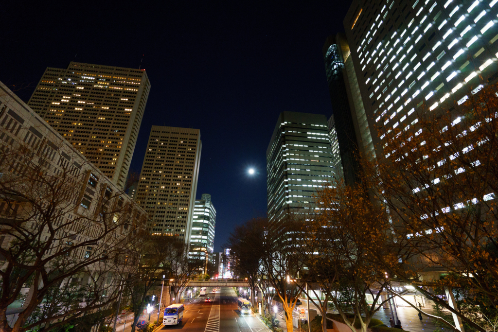 f:id:d_ymkw:20170115220737j:plain